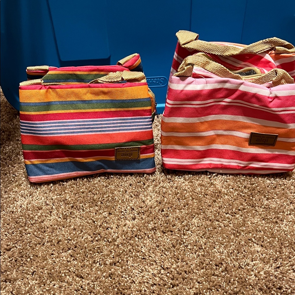 Set of 2 Colorful Striped lunch or makeup Bag. Insulated.